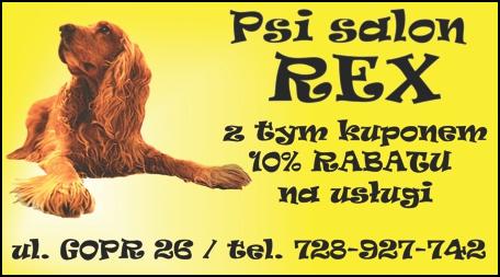 Kupon rabatowy -10% na usługi w Psim Salonie REX
